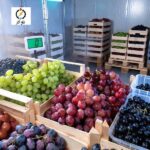 سردخانه ۵ تنی انگور