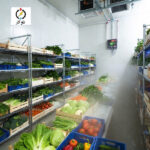 سردخانه ۱۰ تنی سبزیجات