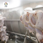 سردخانه ۵۰ تنی مرغ و طیور