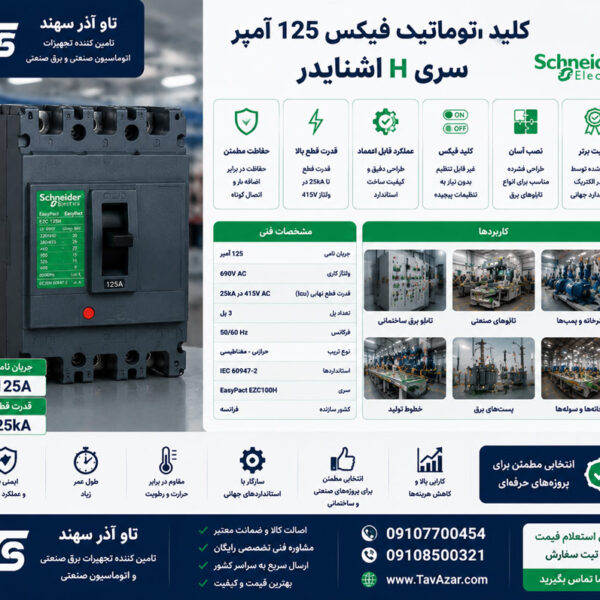 کلید اتوماتیک فیکس 125 آمپر سری H اشنایدر